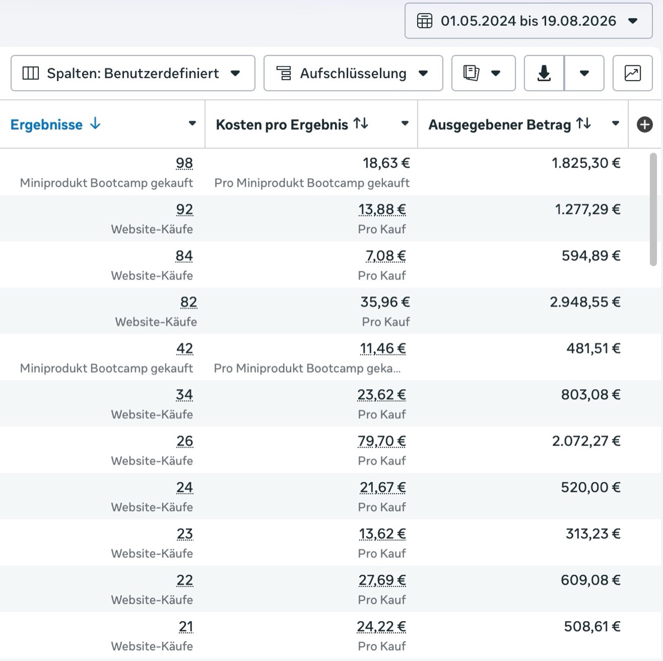 Meta Ads Manager Dashboard mit Ergebnissen