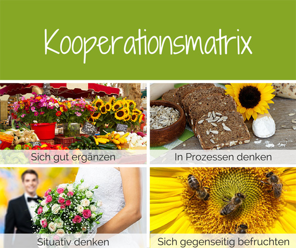 kooperationsmatrix